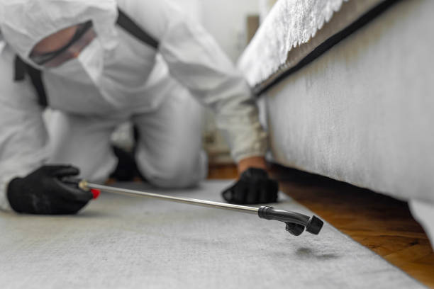 Professional Termite Control technician working in Heath, TX