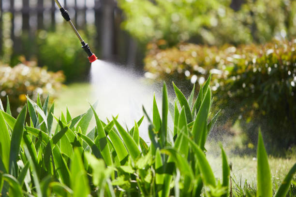 24/7 Emergency Termite Control experts in Heath, TX